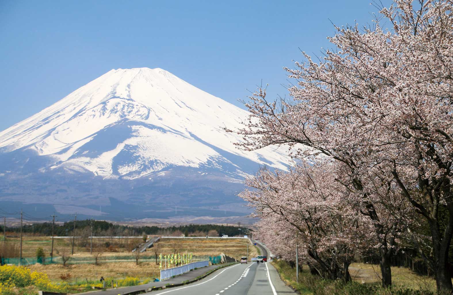 富士山 す その パノラマ ロード