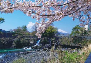 鮎壺の滝