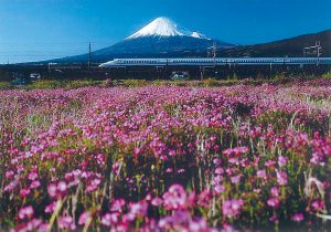 東部市民プラザ
