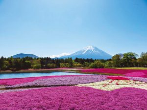 富士本栖湖リゾート