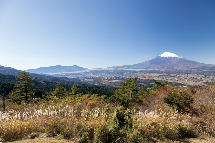 金時山