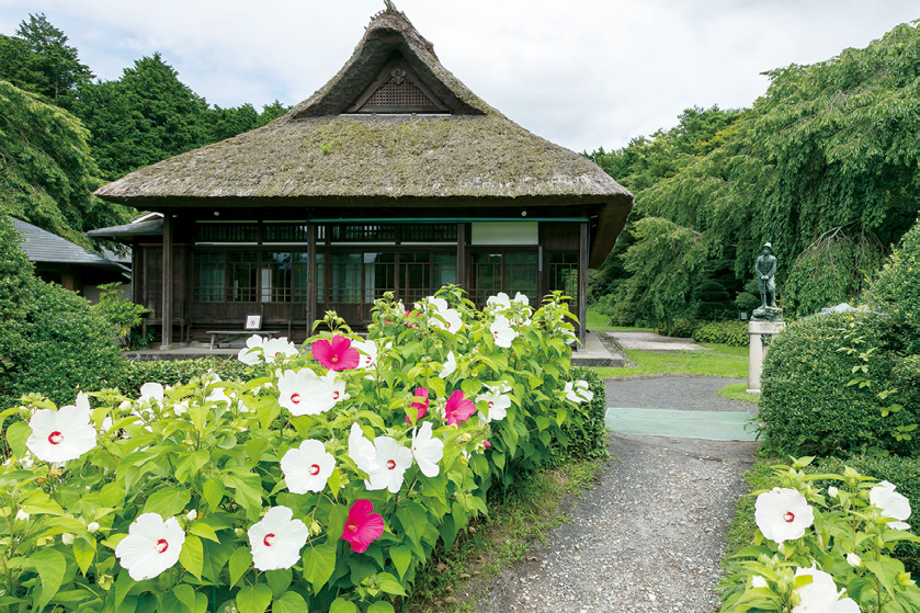 秩父宮記念公園