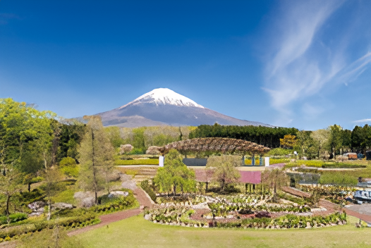 富士山樹空の森