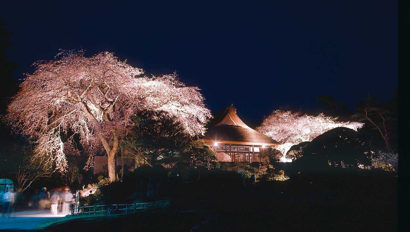 秩父宮記念公園