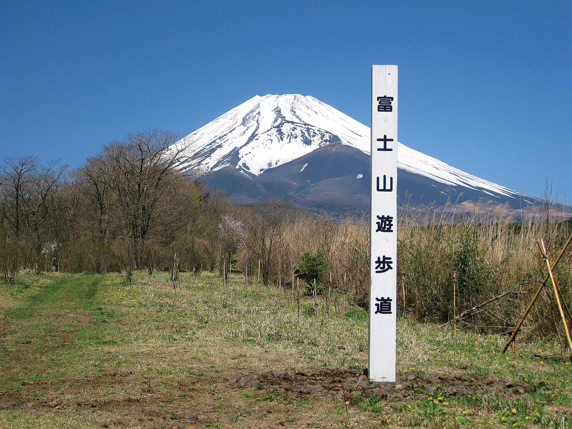 富士山遊歩道