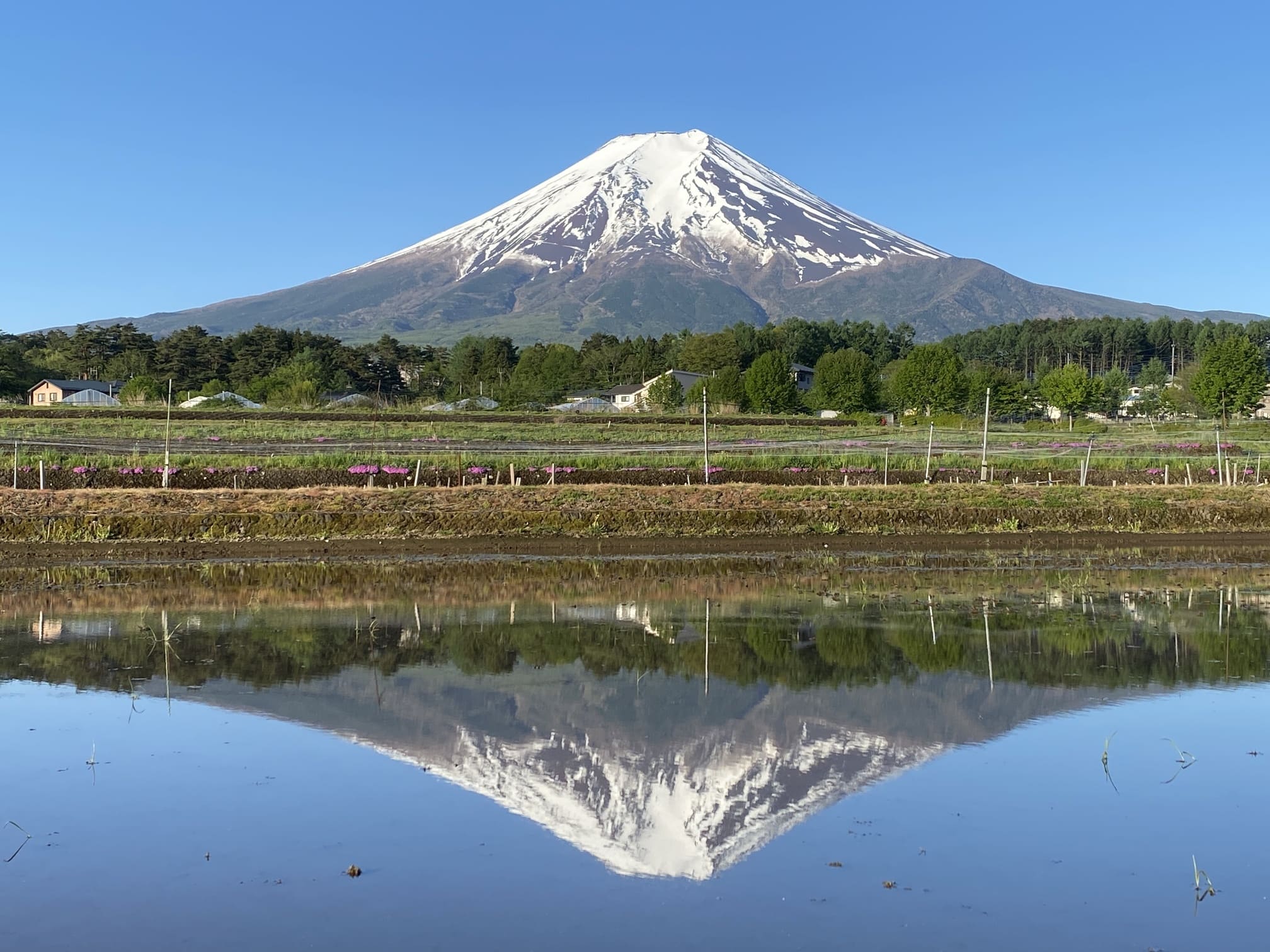 富士吉田農村公園