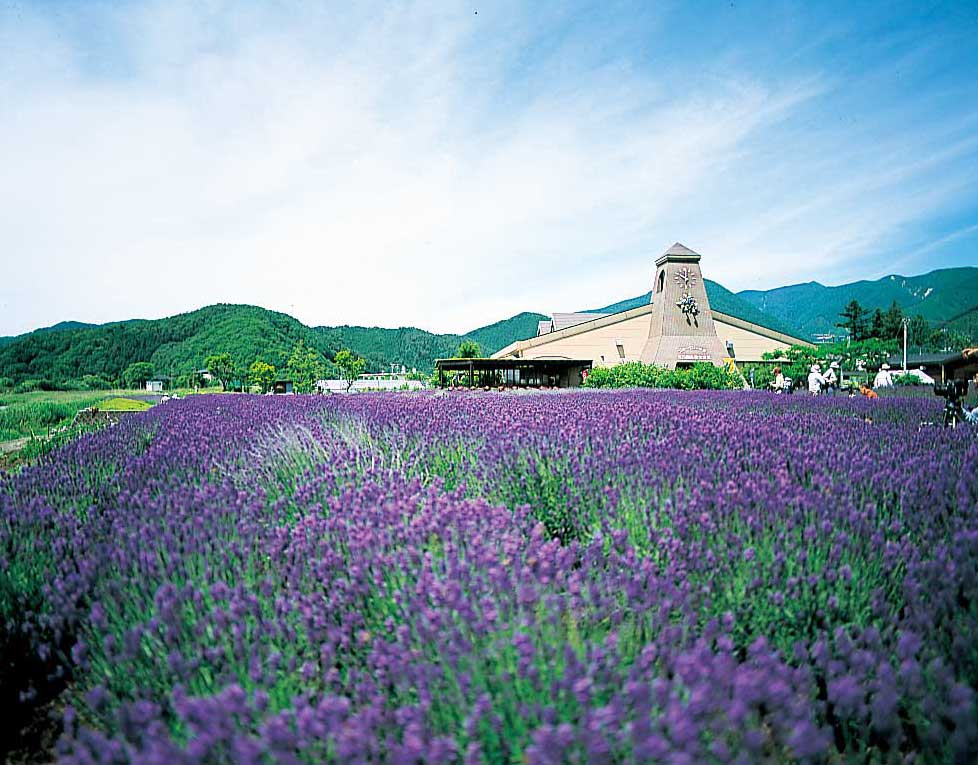 河口湖自然生活館