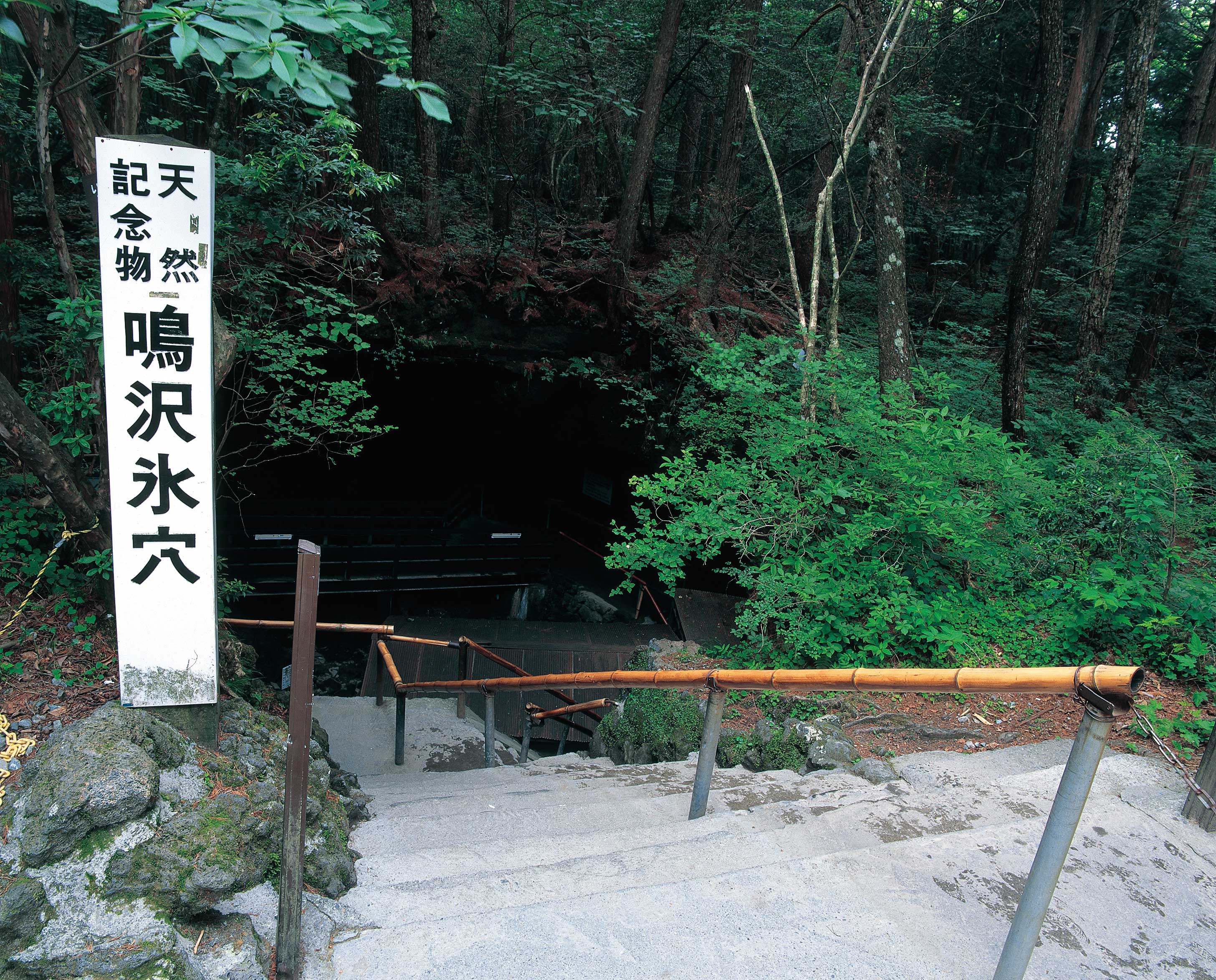 鳴沢氷穴