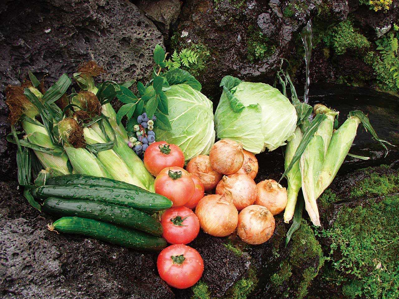 高原野菜