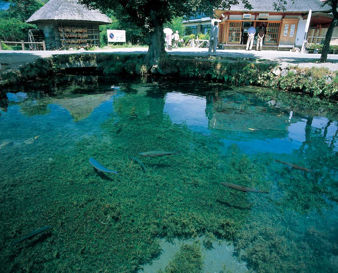 忍野八海