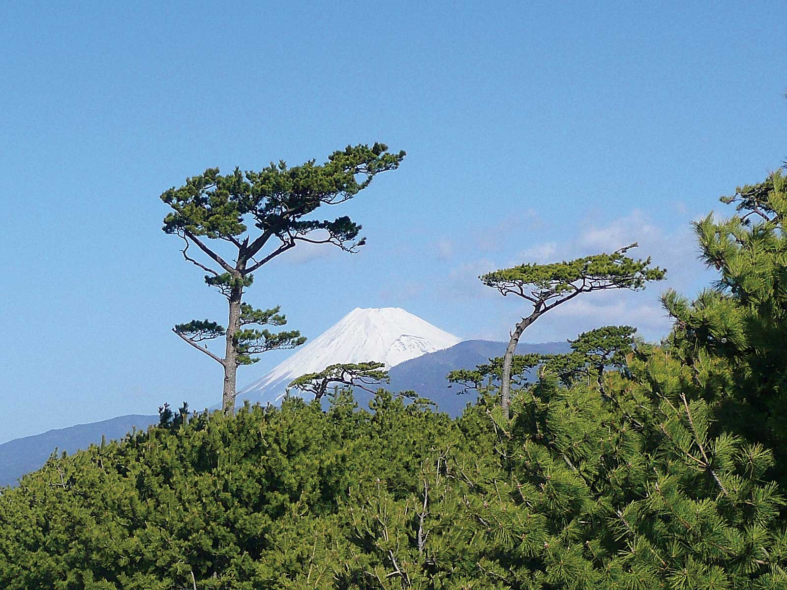 千本浜公園