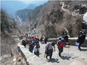 登山道は階段、階段、また階段の連続
