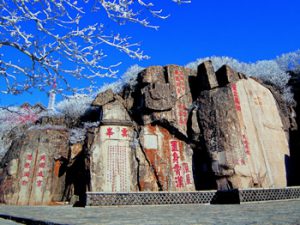 「泰山」てどんな山？