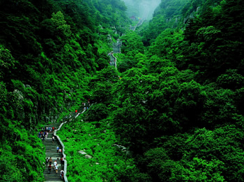 「泰山」てどんな山？