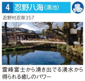 忍野八海　涌池