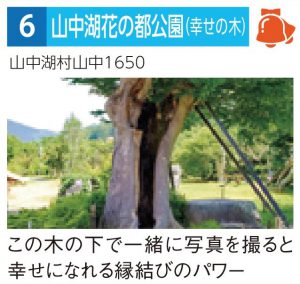 山中湖花の都公園