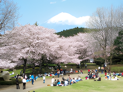 岩本山公園