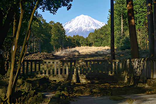 山宮浅間神社