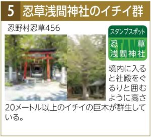 スタンプスポット05忍草神社のイチイ