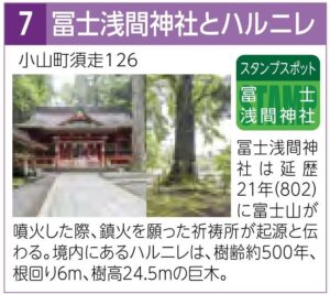 スタンプスポット07冨士浅間神社とハルニレ