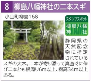 スタンプスポット08柳島八幡神社の二本スギ