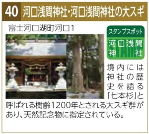 スタンプスポット40川口浅間神社・河口浅間神社の大スギ